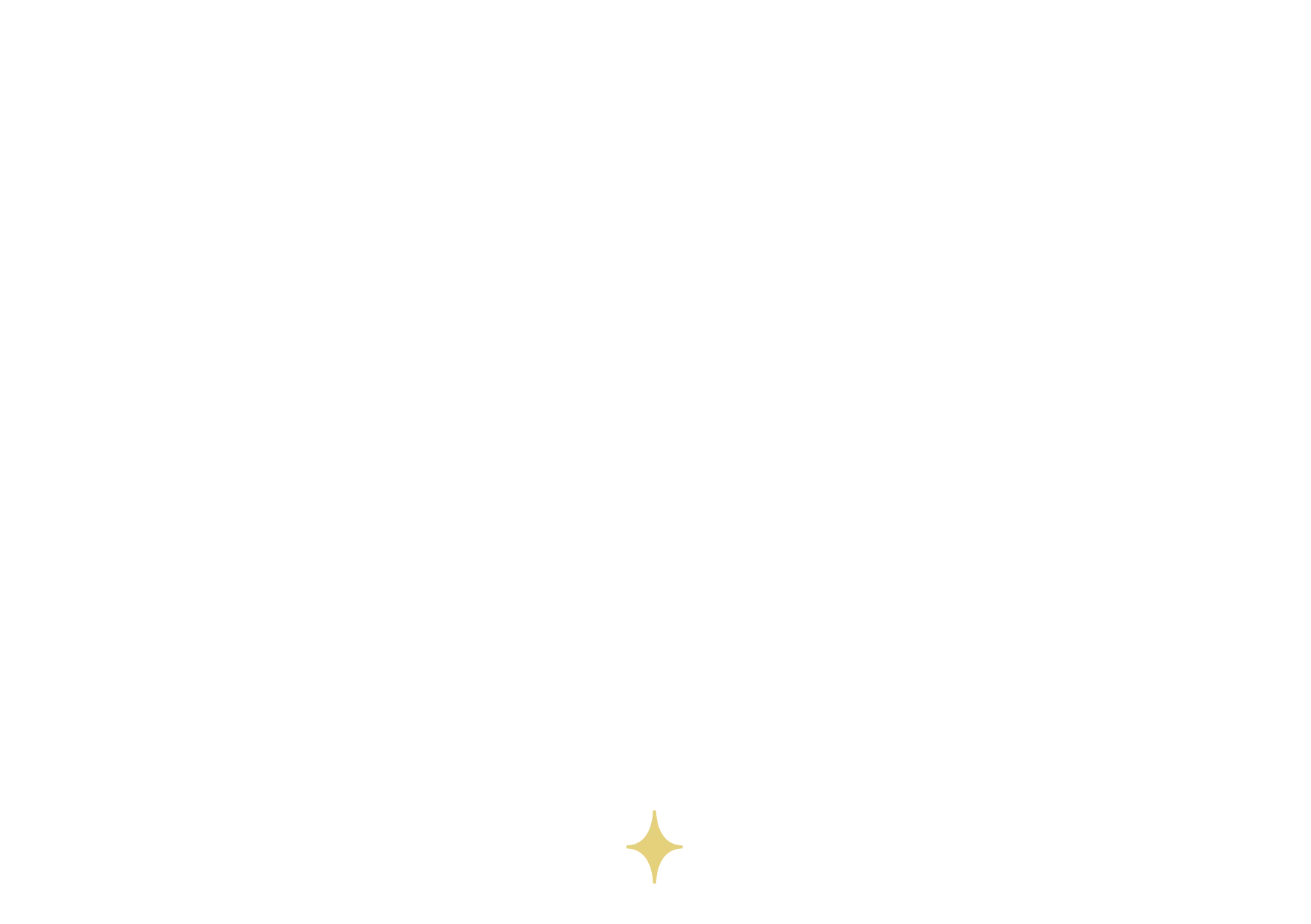 acgpp-nav-logo2